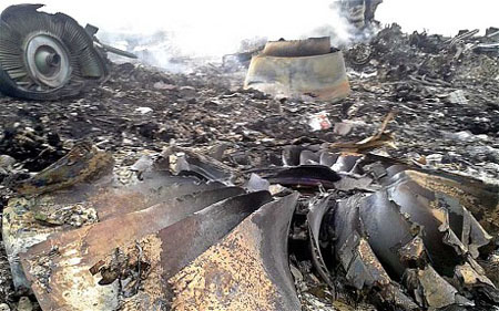 Hiện trường máy bay MH17 rơi  tại khu vực Donetsk